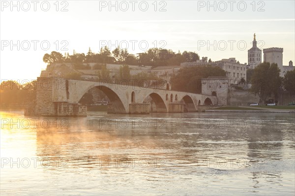 The Pont des Avignon and the Palais des Papes and Cathedral across the Rhone river