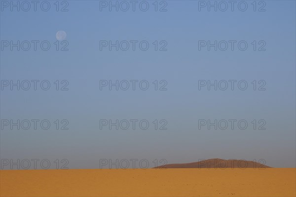 Ochre sand desert