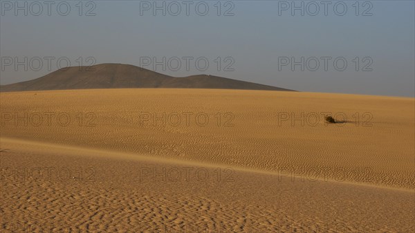 Sand desert with wave pattern