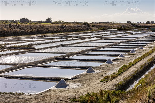 Saltworks for the extraction of sea salt near Loix