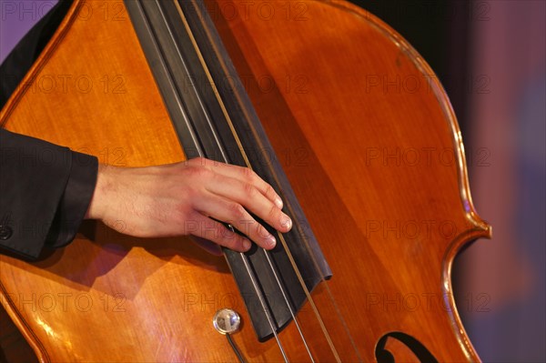 Jazz bassist Conrad Steinhoff from the Gerold Heitbaum Quartet in concert