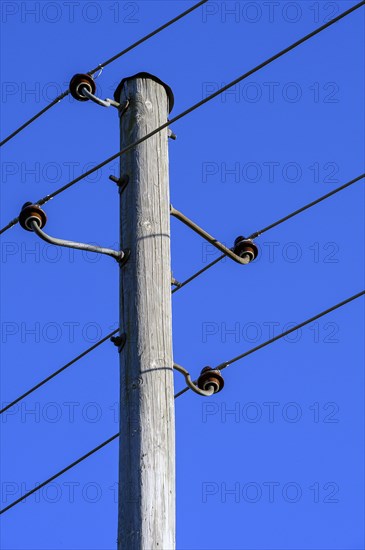 Wooden electricity pylon with ceramic insulators