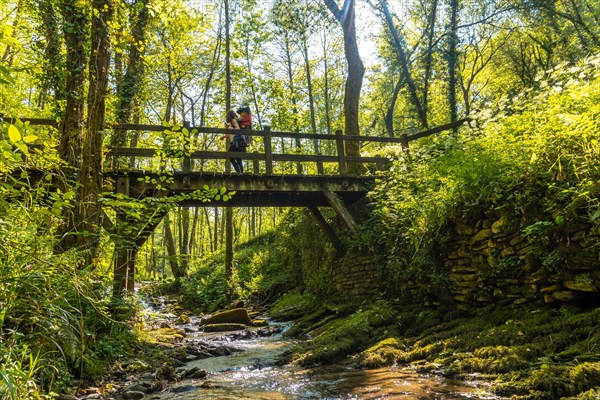 A young woman crossing a wooden bridge in the Pagoeta park in Aia