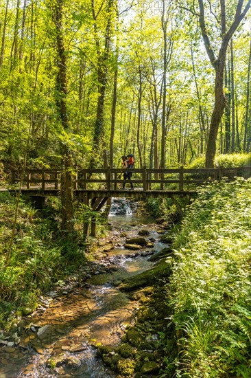 A young woman crossing a bridge in the Pagoeta park in Aia