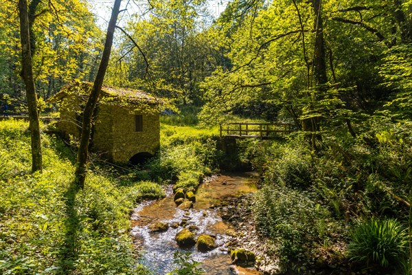 Incredible natural views in the Pagoeta park in Aia