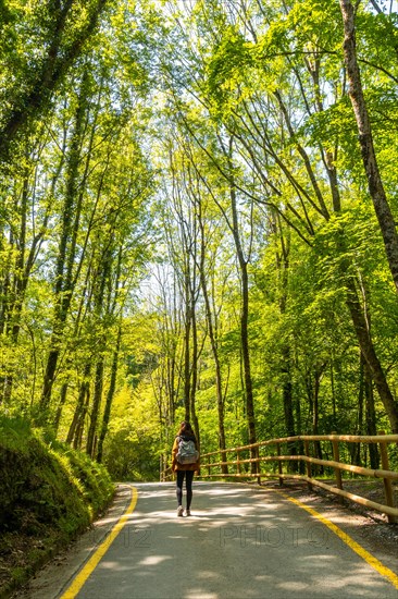 A young woman walking through the Pagoeta park in Aia