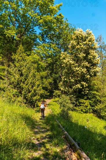 A young woman along a path in the Pagoeta park in Aia