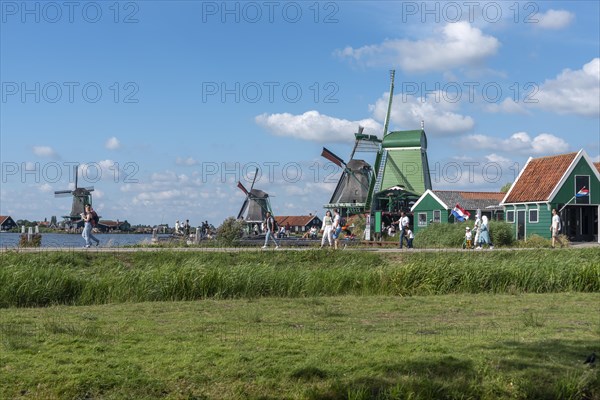 Rural scene with historic windmills in the Zaanse Schans open-air museum
