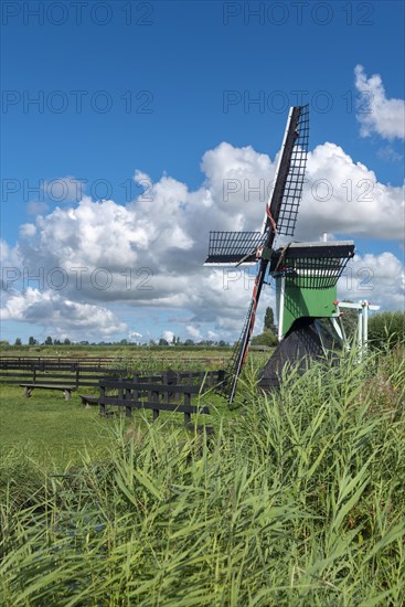 Historic windmill De Hadel in the open-air museum Zaanse Schans