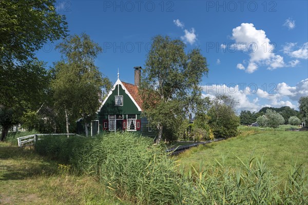 Rural scene in the Zaanse Schans open-air museum