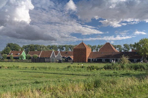 Rural scene in the Zaanse Schans open-air museum