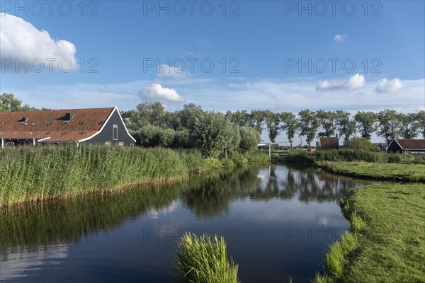 Rural scene in the Zaanse Schans open-air museum