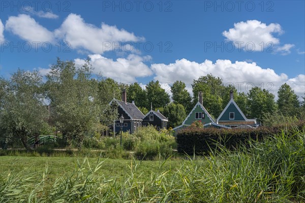 Rural scene in the Zaanse Schans open-air museum