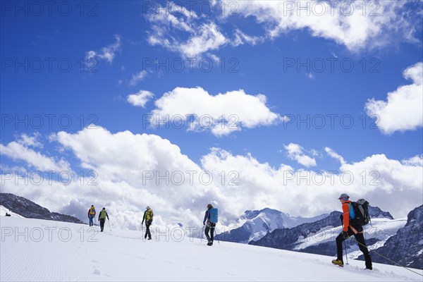 Alpine glacier hikers hiking on Aletsch Glacier