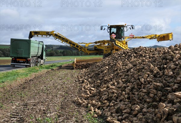 Beet cleaning loader picks up