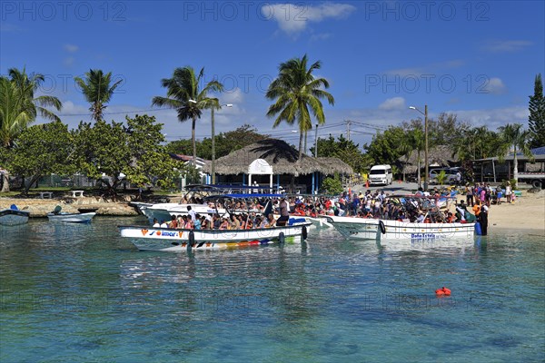 Tourists are taken in boats to Isla Saona
