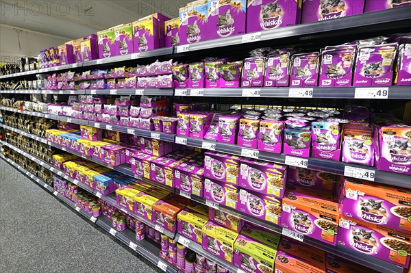 Shelf with cat food in the wholesale market