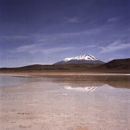 Atacama Desert Bolivia Plateau Flamingo Lagoon Mountains