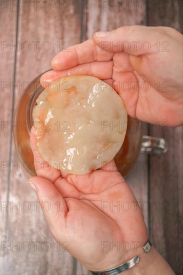 A woman holds in her hands a kombucha mushroom