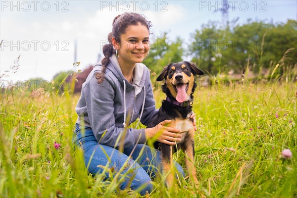 A cute dog sitting on a sunny spring day in a flower meadow with his mouth open and his tongue sticking out