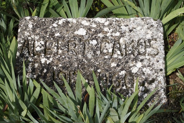 Albert Camus grave