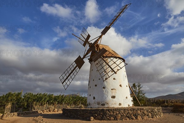 Molino de el Roque