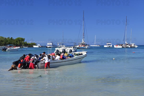 Tourists are taken in boats to Isla Saona