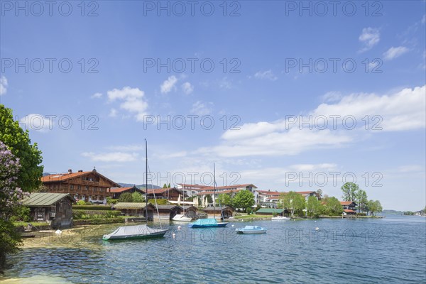 Shore area with houses at the Tegernsee