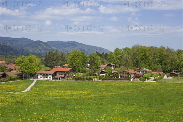 Flower meadow with houses in spring