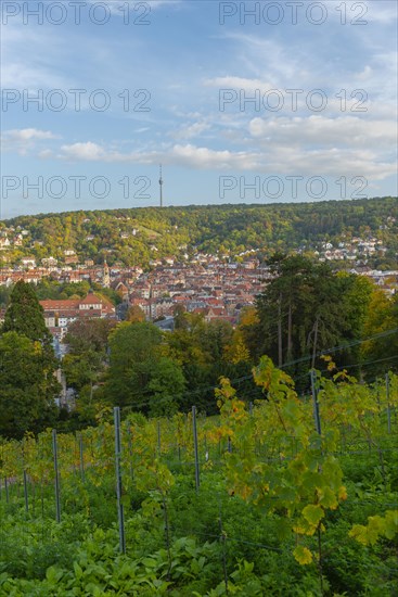 View from Karlshoehe