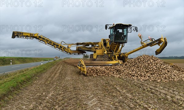 Beet cleaning loader picks up