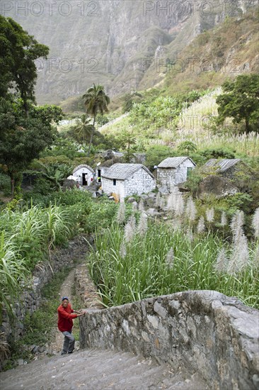 Traditional houses in the sugar cane blossom