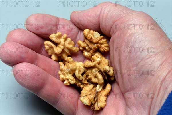 A handful of persian walnuts