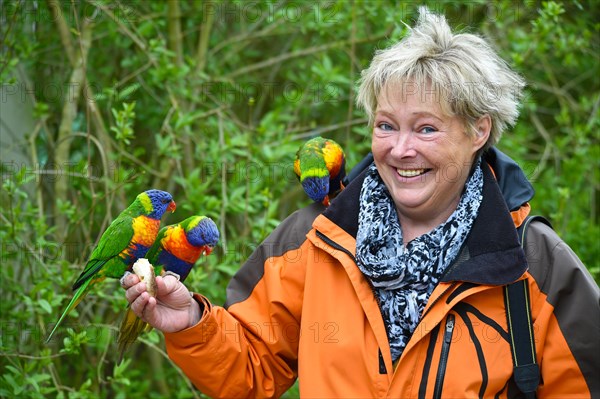 Woman with coconut lorikeets