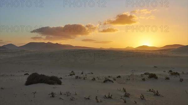 Sand dunes