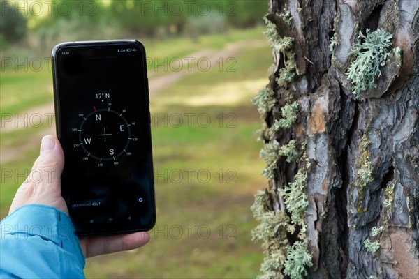 Woman orienting herself in the forest with her smart phone's compass following a trail in the pine forest