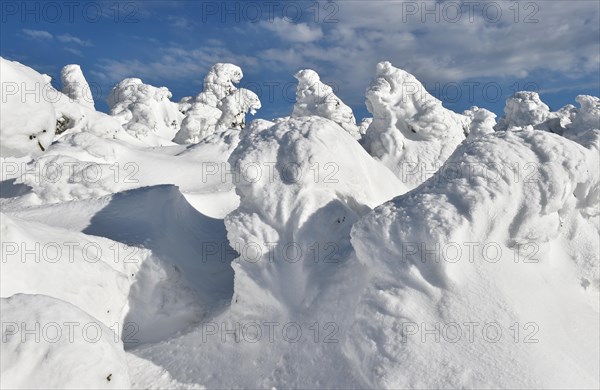 Icy and snowy forest on the Brocken