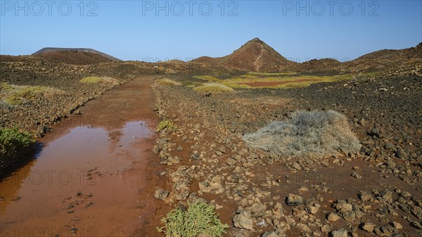 Muddy footpath