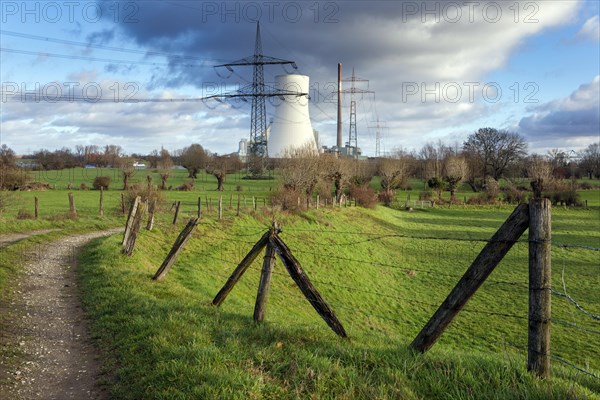 Rheinaue Binsheim nature reserve on the Rhine