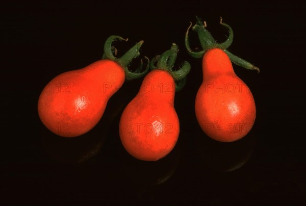 Ripe tomatoes