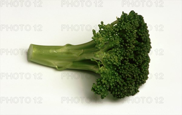 Broccoli