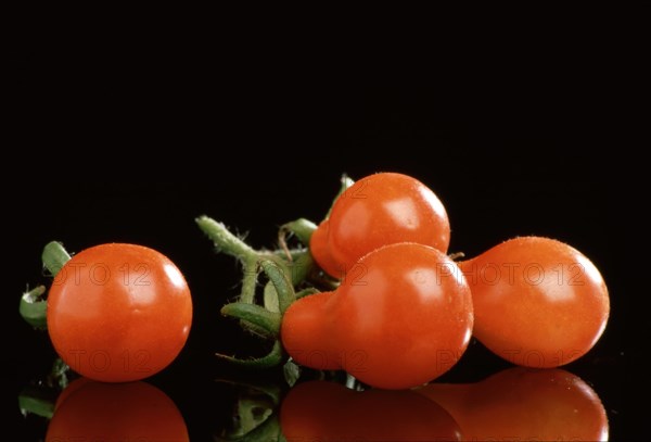 Ripe tomatoes