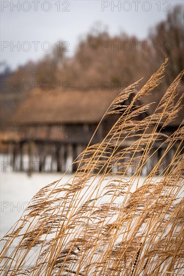 Historic lake dwelling huts in the Lake Dwelling Museum in gloomy weather