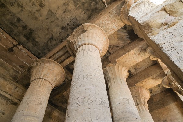 Great Hall of Columns