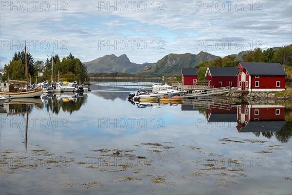 Red rorbu houses with boats in the harbour