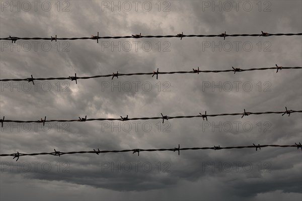 Four rows of barbed wire