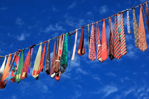 Many colourful ties hanging on a clothesline