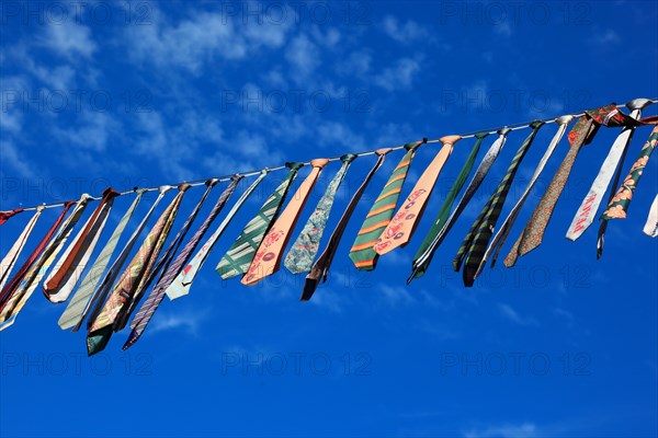 Many colourful ties hanging on a clothesline