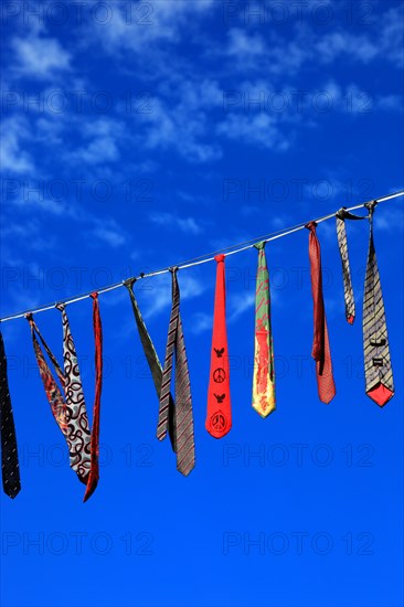 Many colourful ties hanging on a clothesline