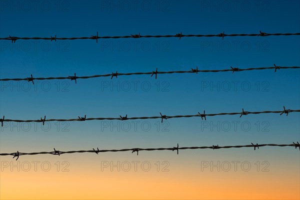 Four rows of barbed wire